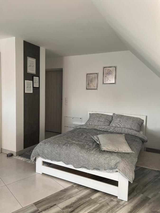 Przytulny Apartamentt Jablonka  Екстериор снимка